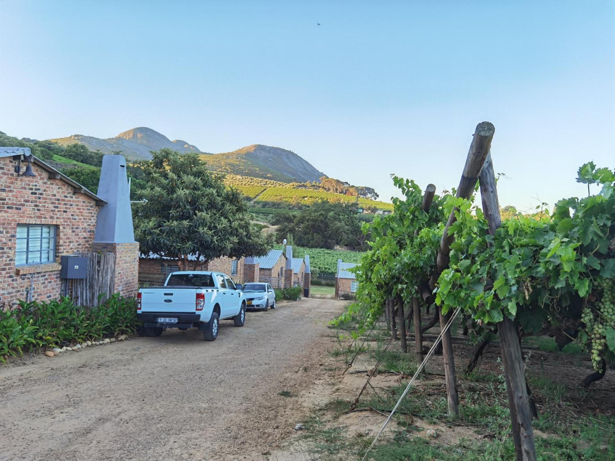 Picardie Guest Farm Paarl Kültér fotó