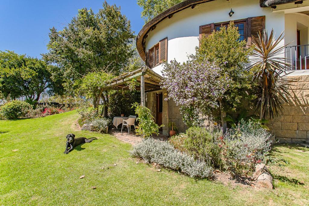 Picardie Guest Farm Paarl Kültér fotó