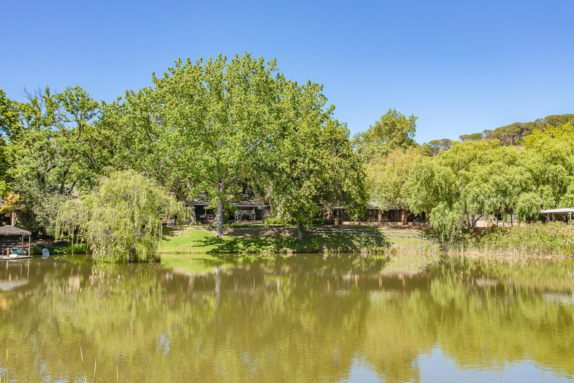 Picardie Guest Farm Paarl Kültér fotó